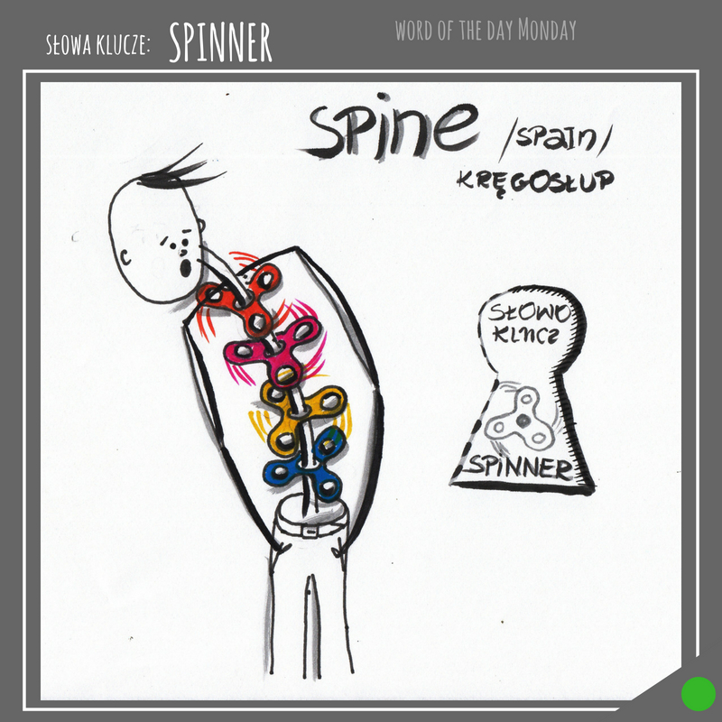 spine - kręgosłup