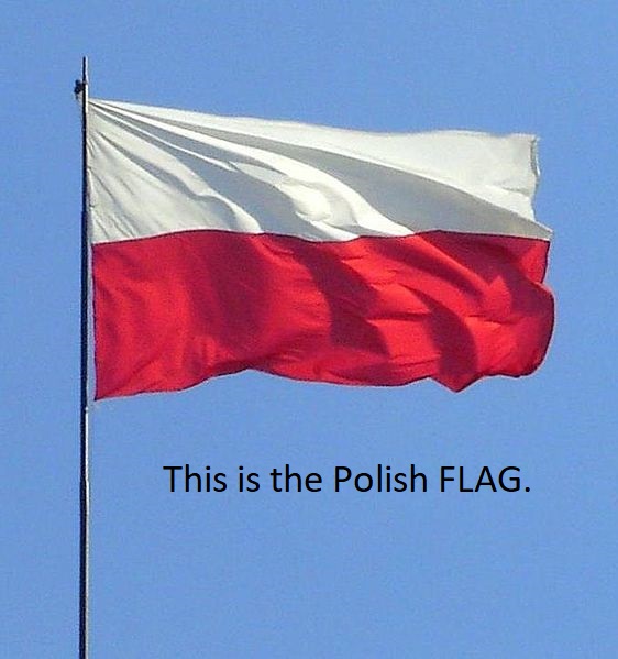 flag - flaga