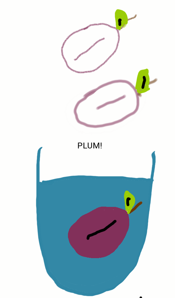 plum - śliwka