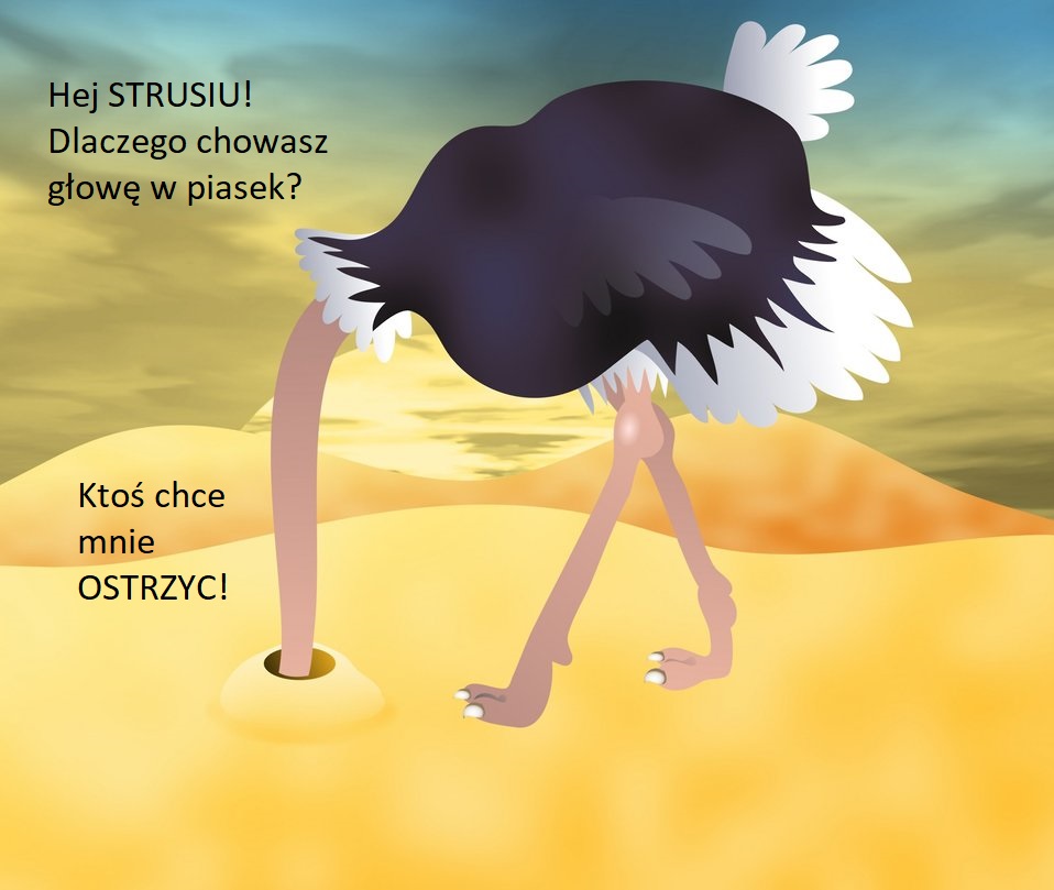 ostrich - struś