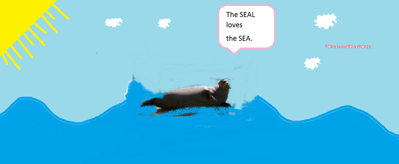 seal - foka