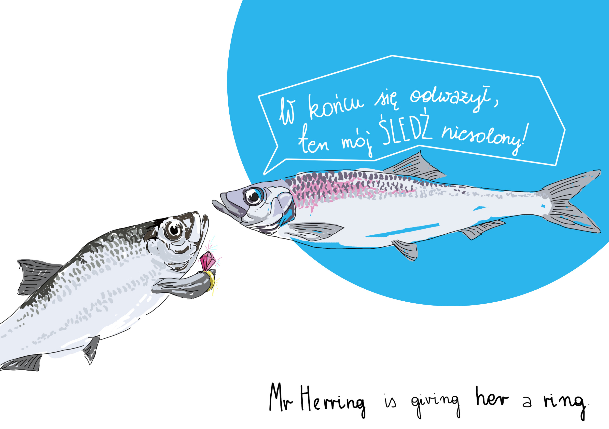 herring - śledź