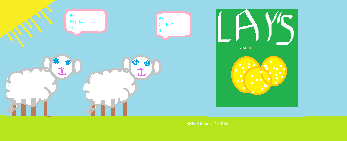 sheep - owca, owce