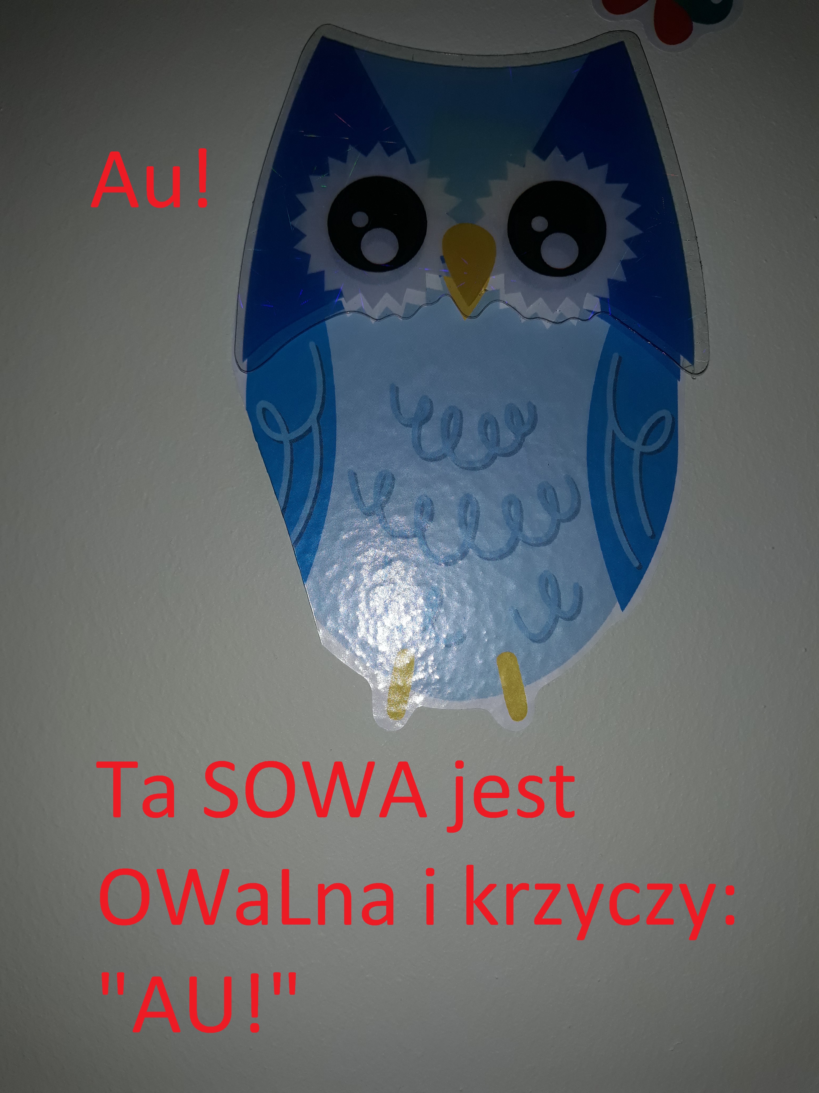 owl - sowa
