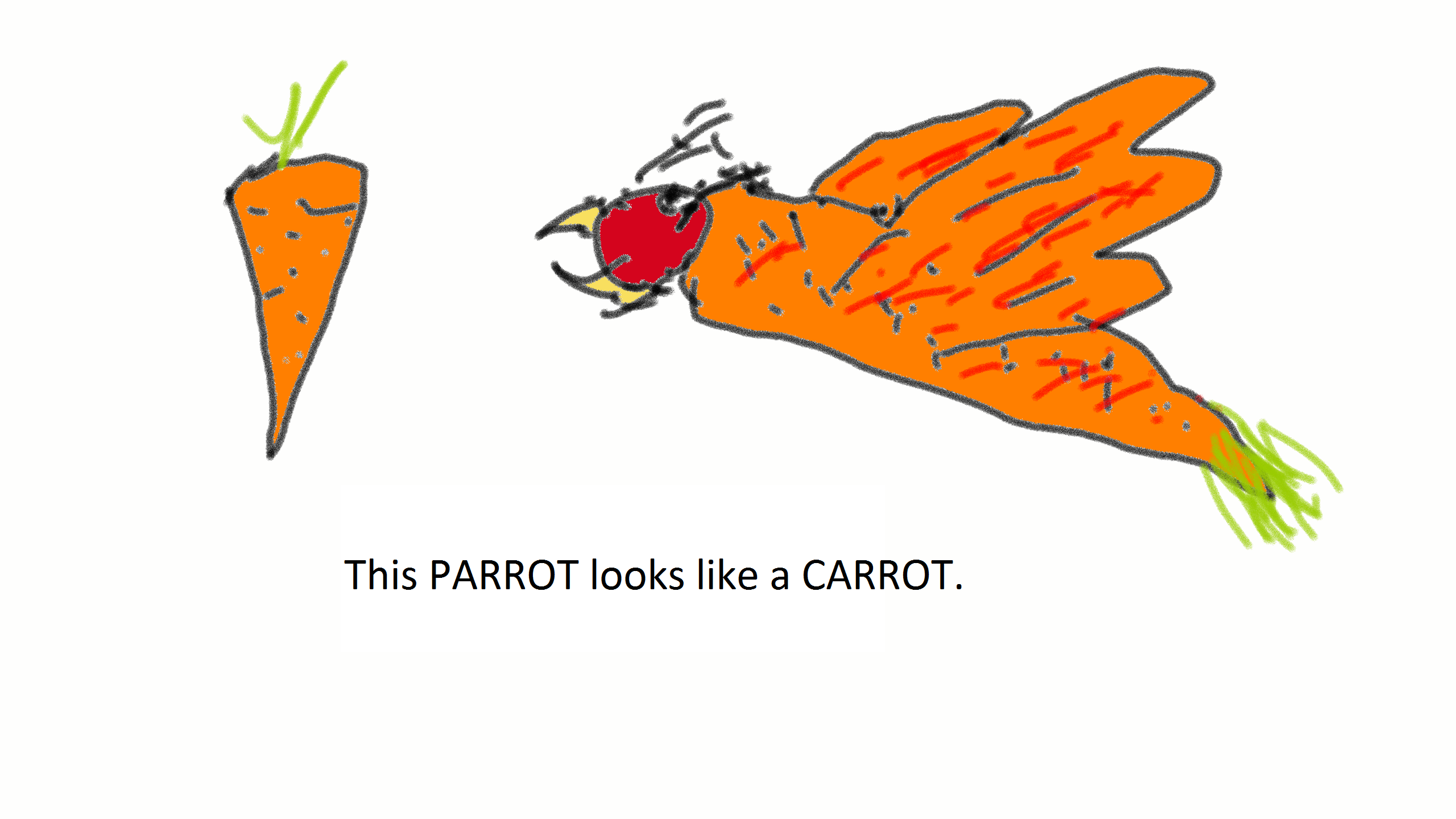 carrot  - marchewka 
